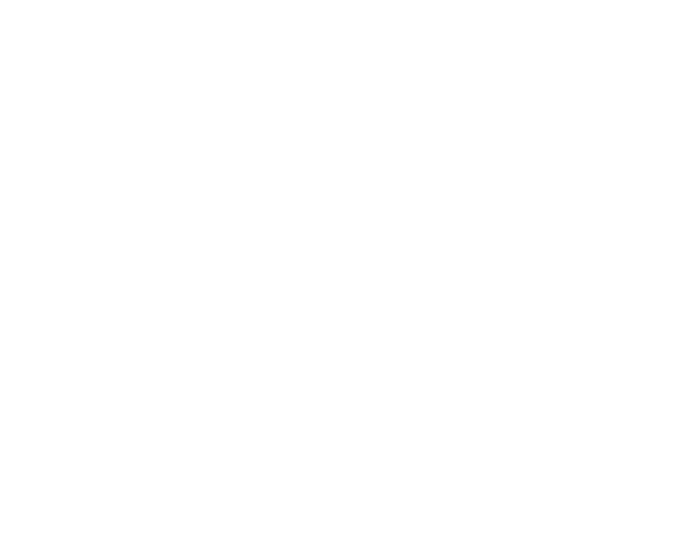 Logo Forte Seg